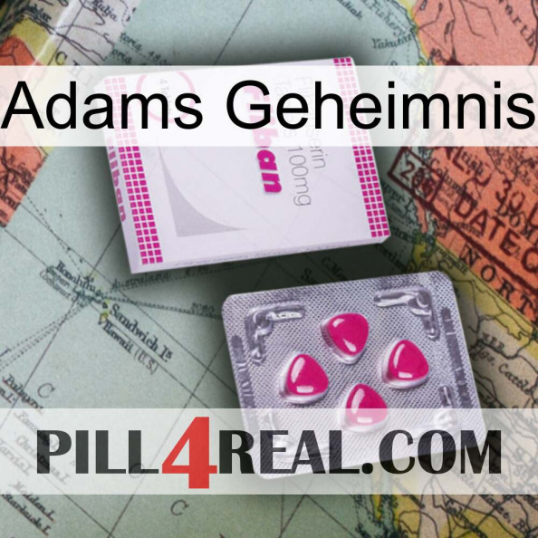 Adams Secret 32.jpg